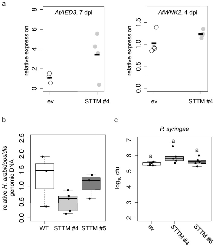 Figure 3—figure supplement 1.