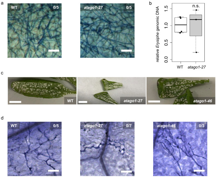 Figure 2—figure supplement 6.