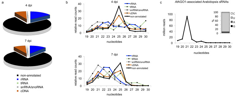 Figure 1—figure supplement 1.