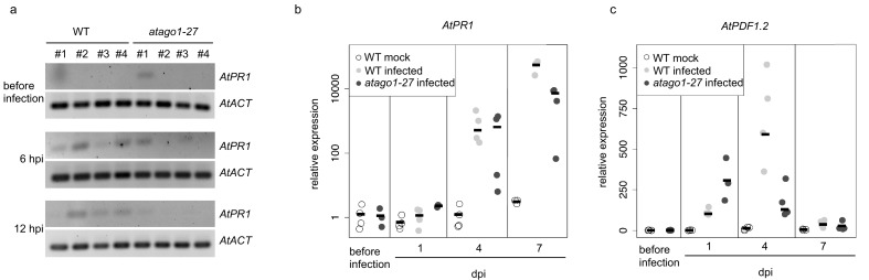 Figure 2—figure supplement 4.