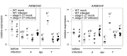 Figure 2—figure supplement 5.