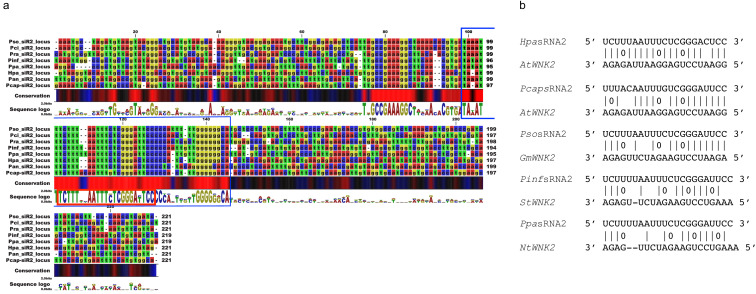 Figure 4—figure supplement 6.