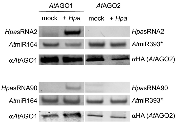 Figure 2—figure supplement 2.