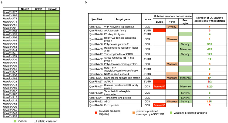 Figure 4—figure supplement 5.