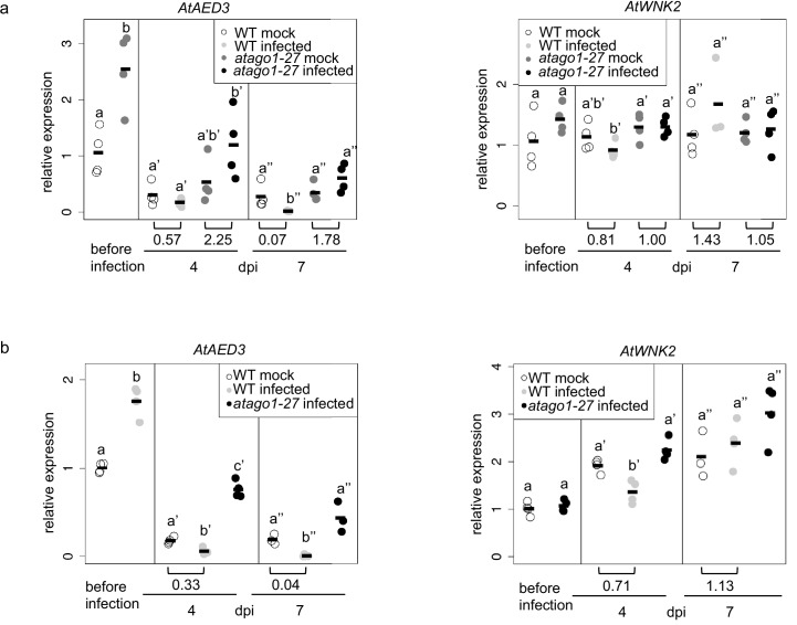 Figure 1—figure supplement 3.