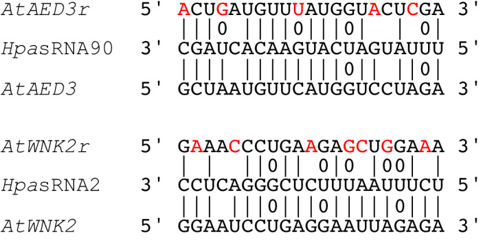 Figure 4—figure supplement 2.