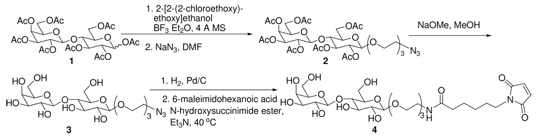 Scheme 1