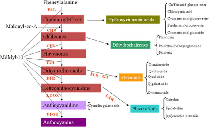 Figure 10