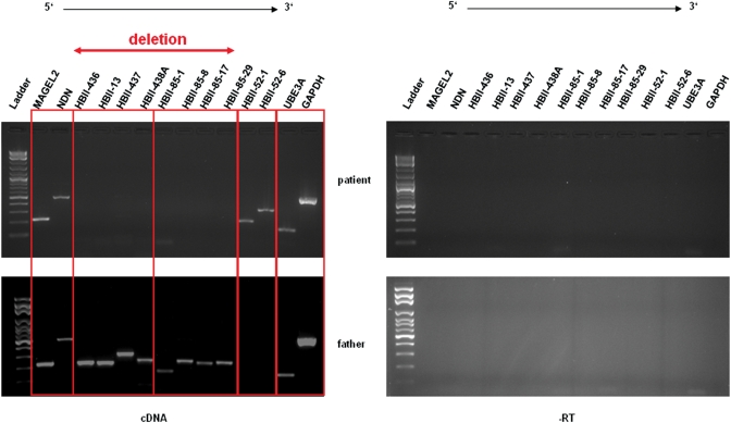 Figure 4.