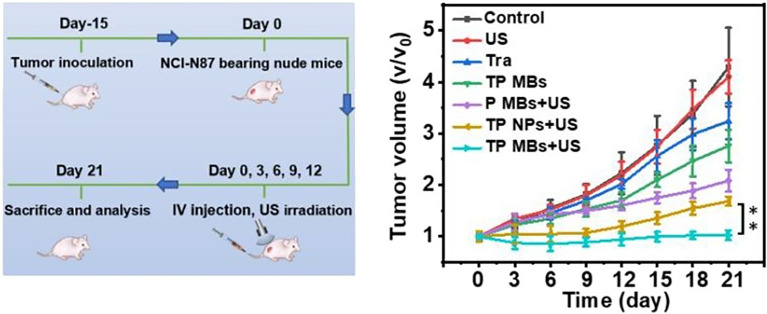 Figure 4