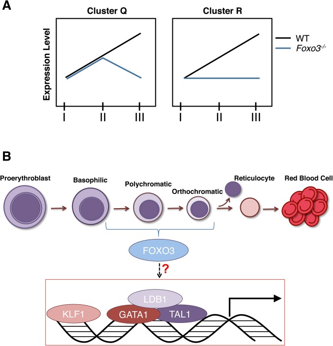 Fig 8