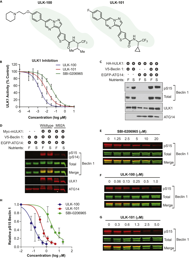 Figure 1