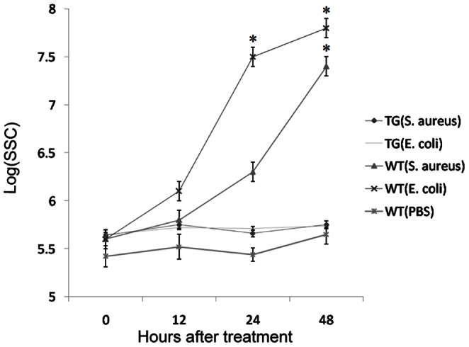 Figure 6