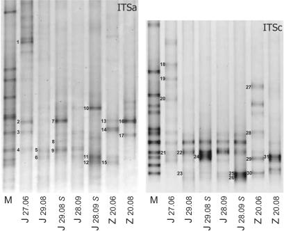 FIG. 3.