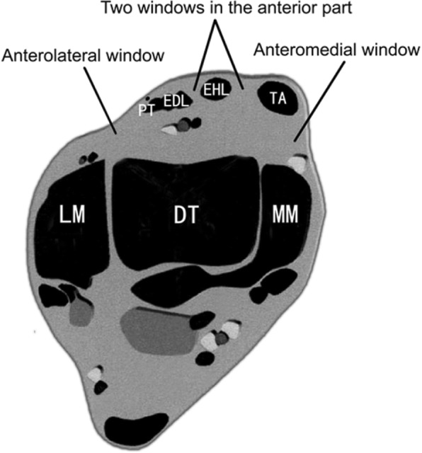 Fig. 2