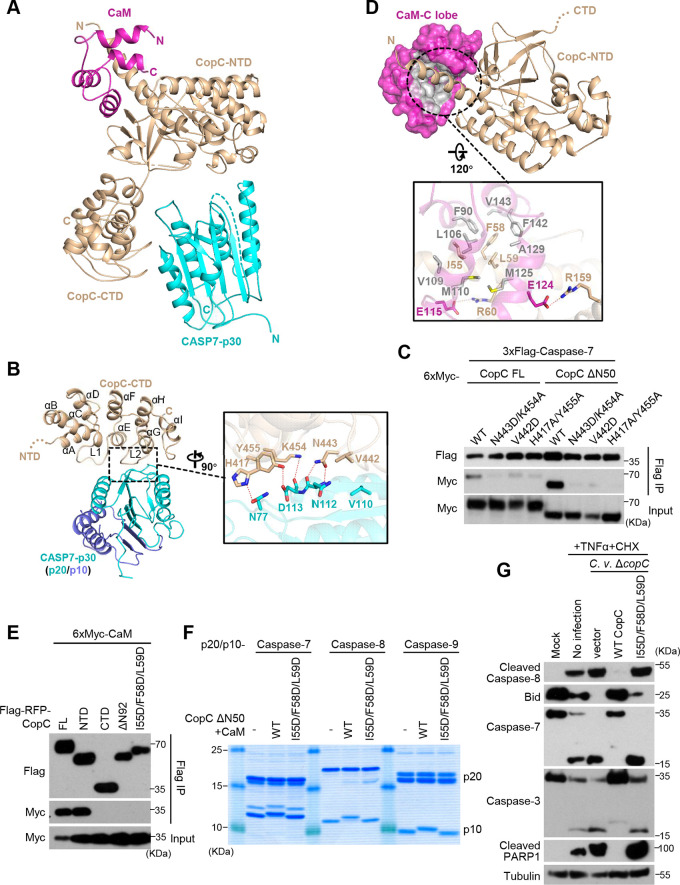 FIG 4