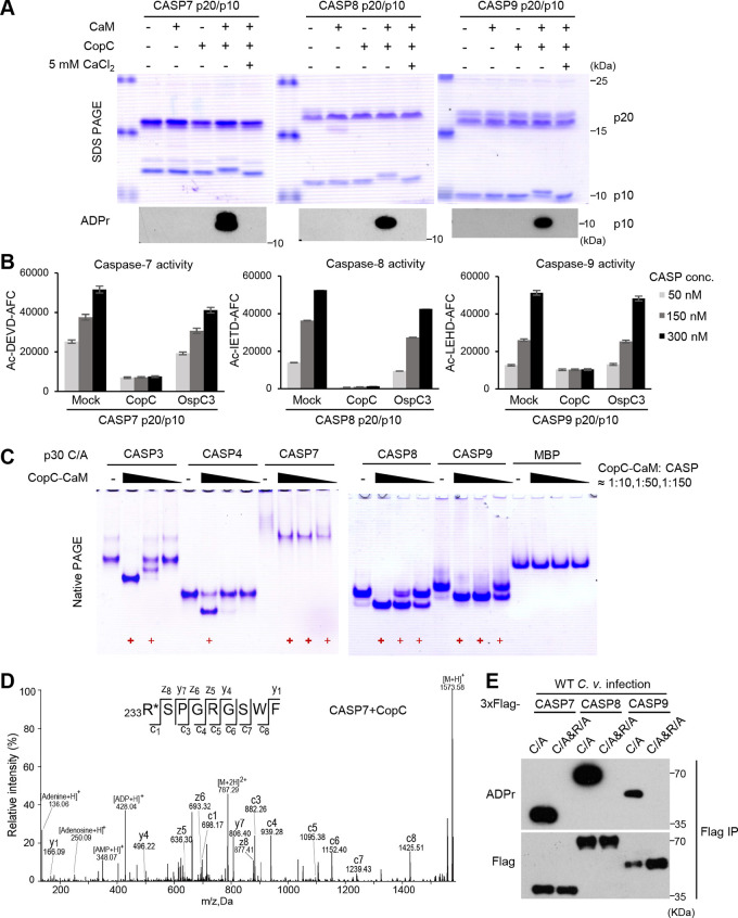 FIG 3