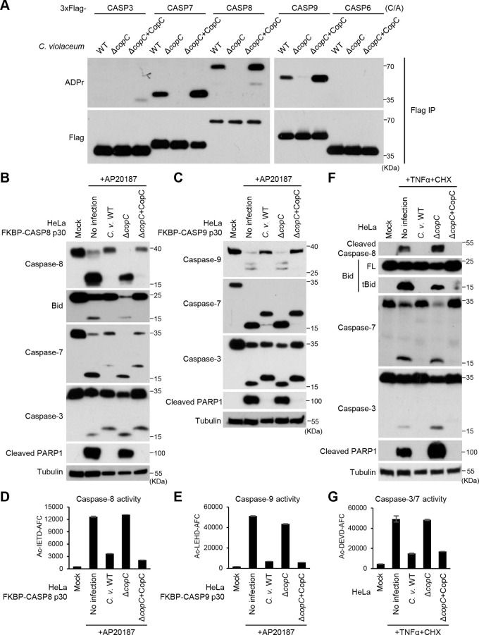 FIG 2