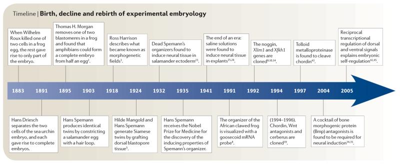 Timeline