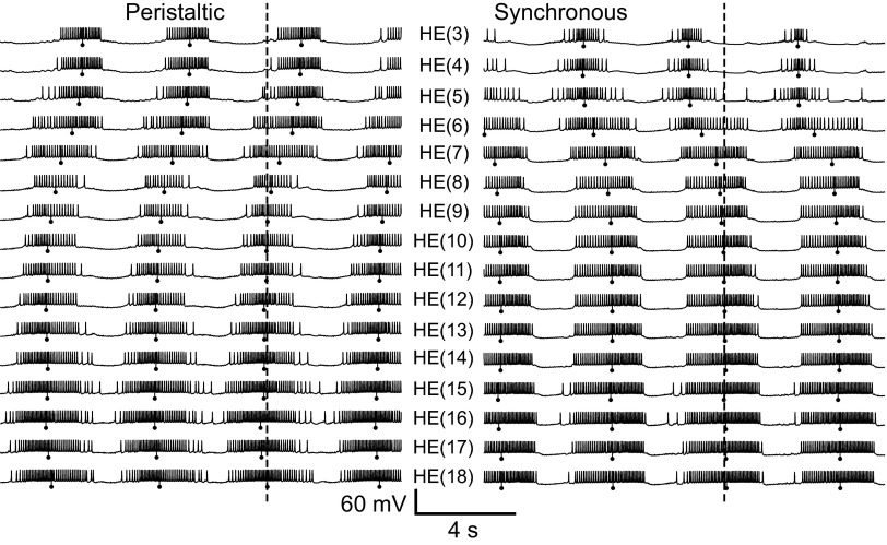 FIG. 7.