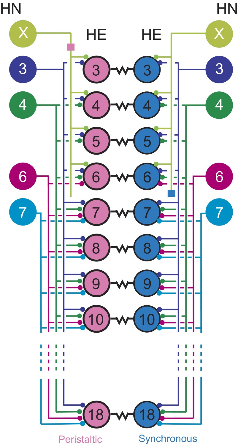 FIG. 1.