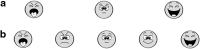 <b>Figure 1.</b>
