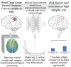 Graphical Abstract