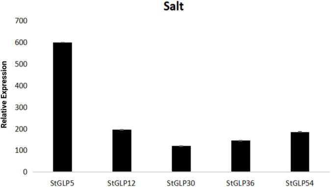 FIGURE 12