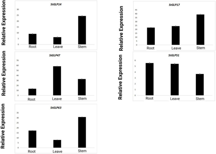 FIGURE 11