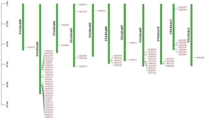 FIGURE 3