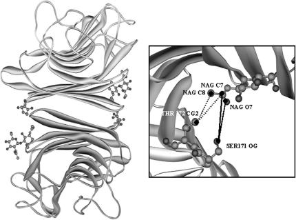 FIGURE 13