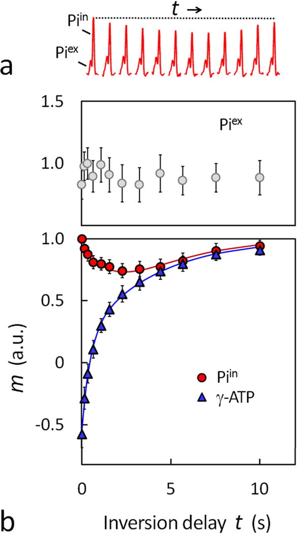 FIG. 6