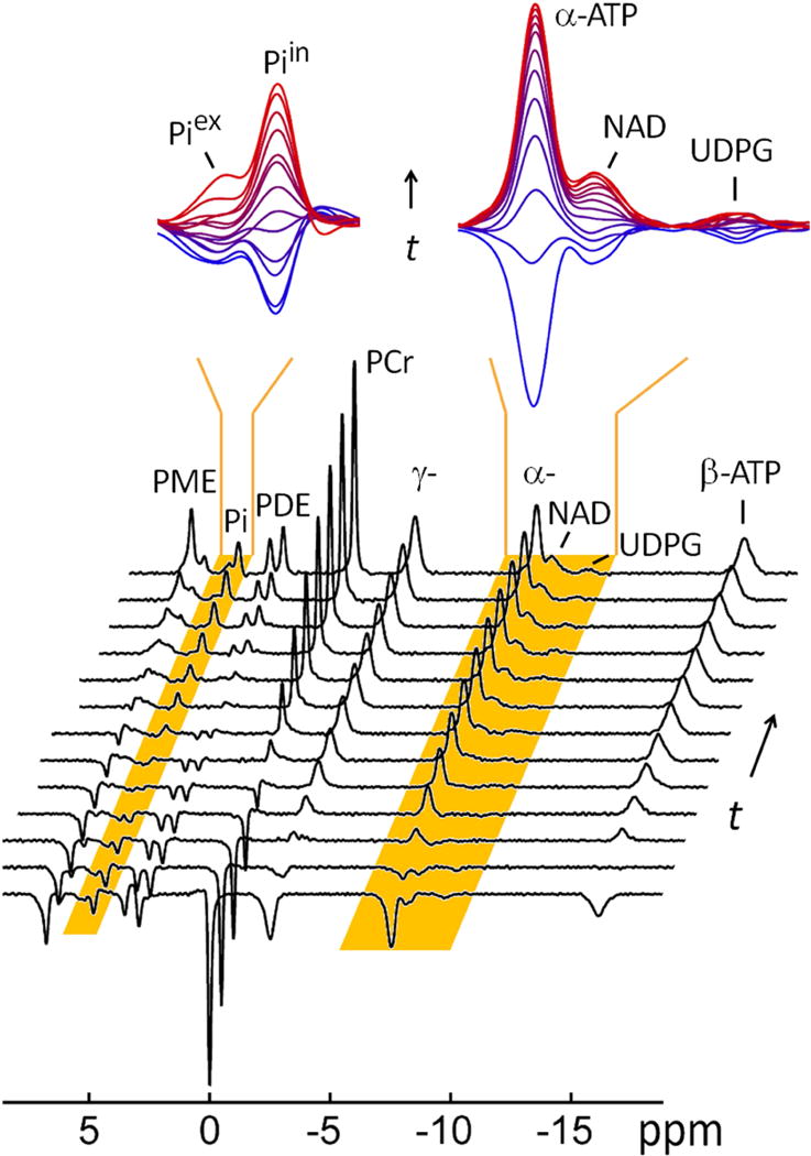 FIG. 3