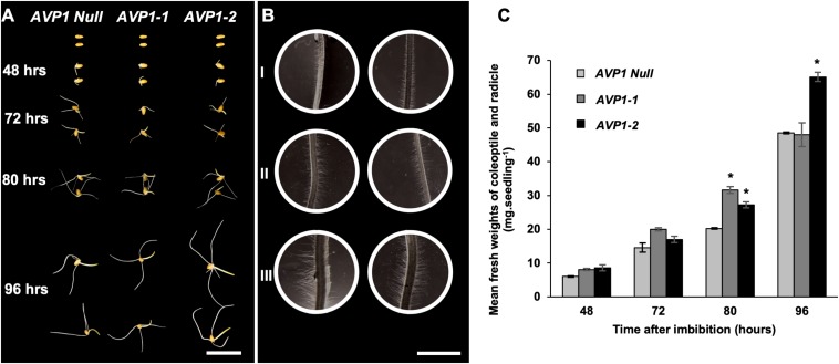 FIGURE 6