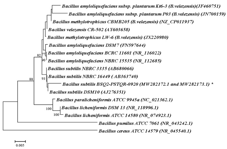 Figure 2