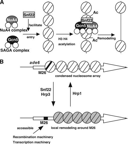 Figure 6.