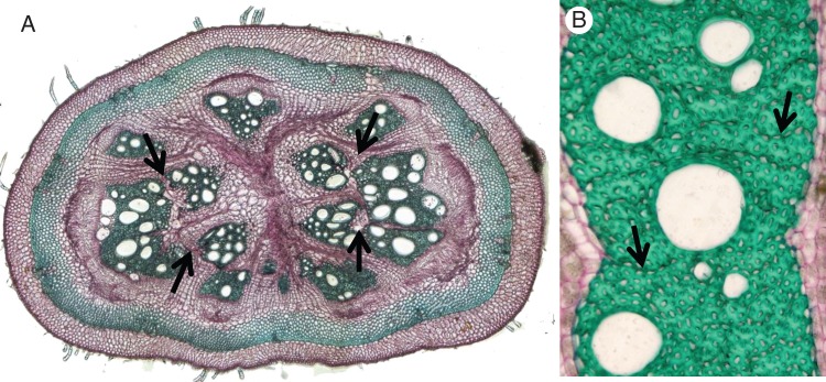 Fig. 9.