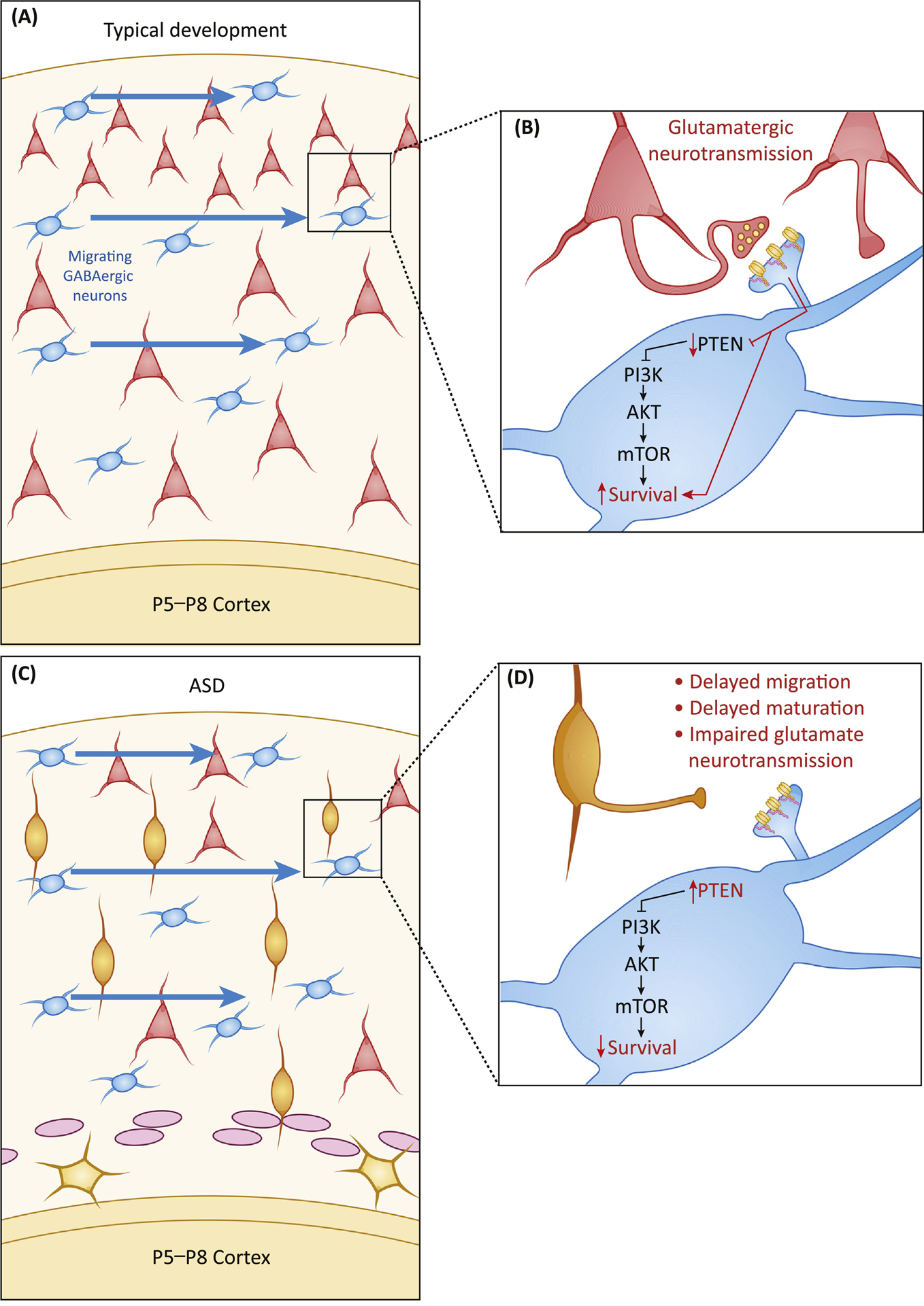 Figure 2: