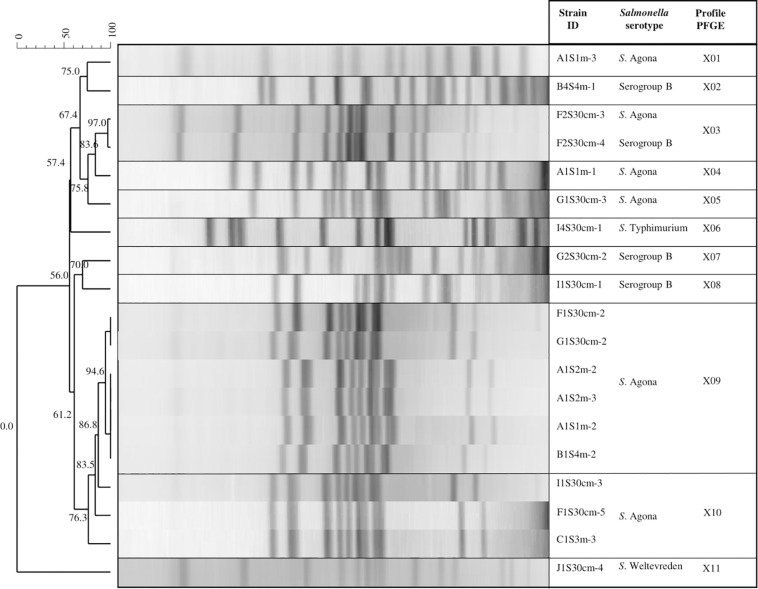 FIGURE 3