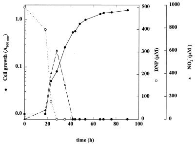 FIG. 1