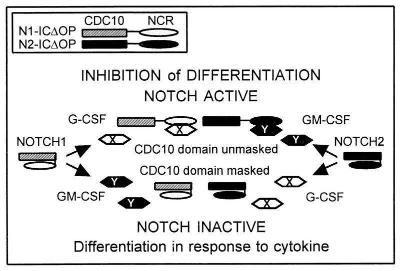 FIG. 9