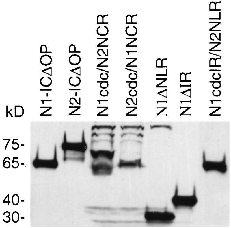 FIG. 8