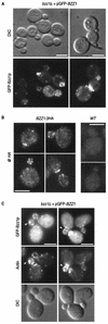 FIG. 4.