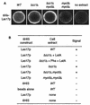 FIG. 9.