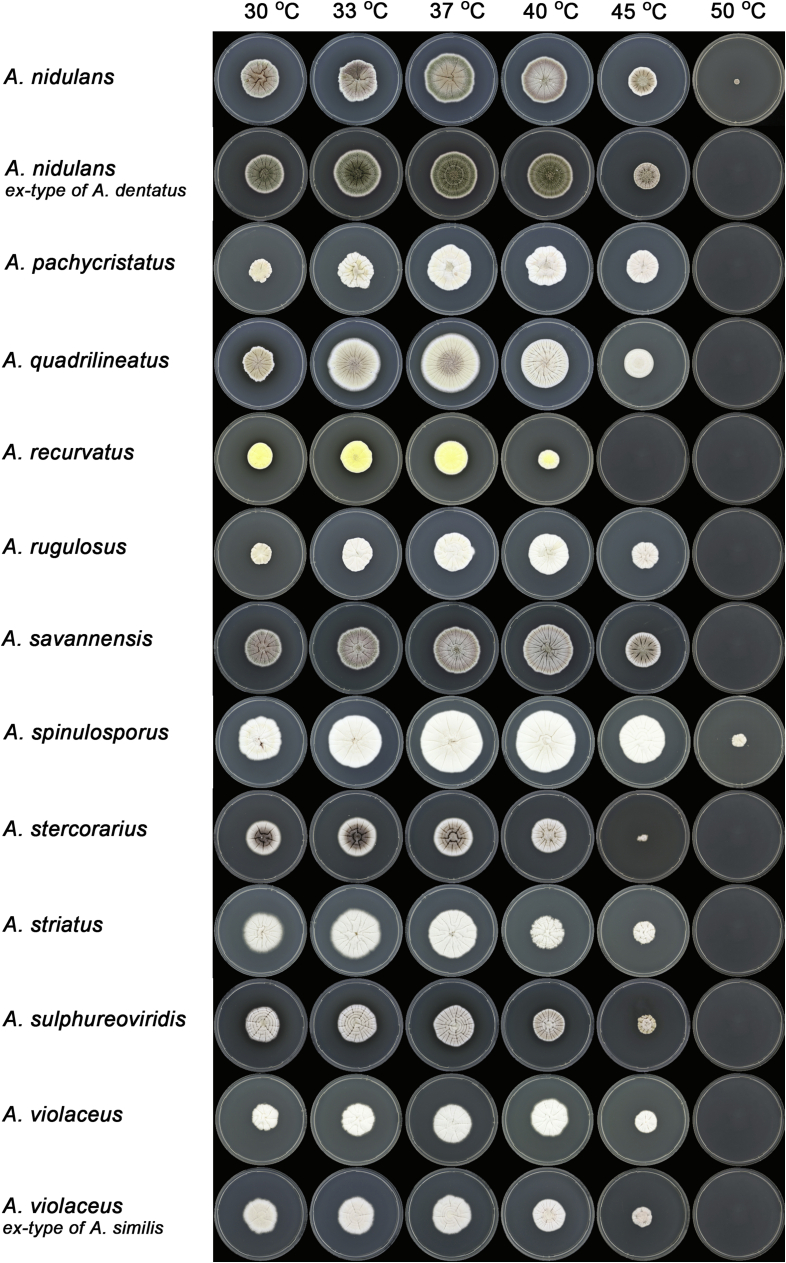 Fig. 10