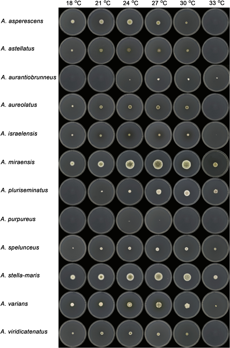 Fig. 11