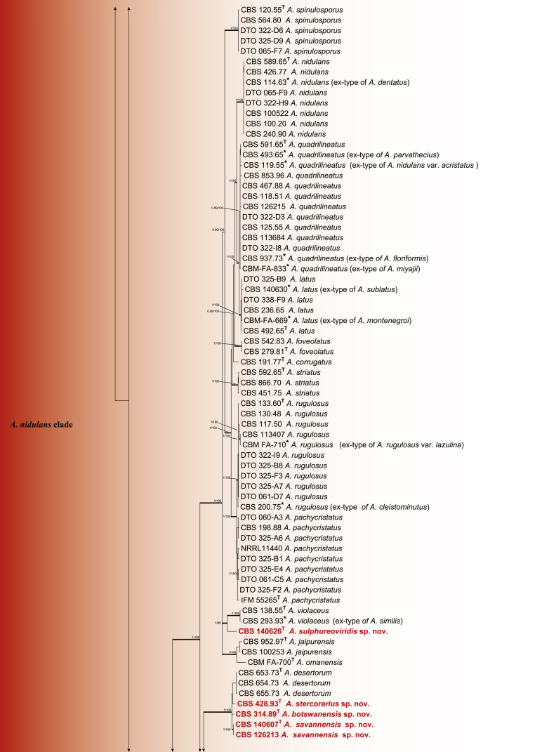 Fig. 2