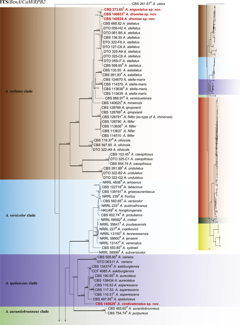 Fig. 2