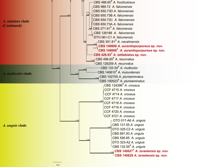 Fig. 2