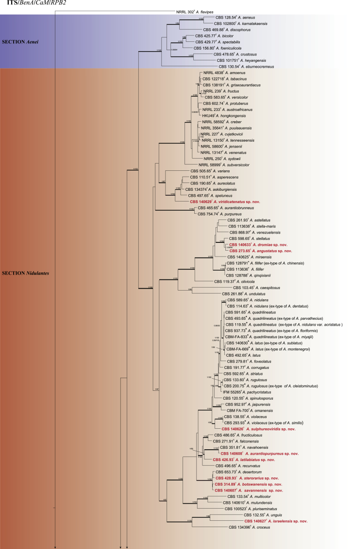 Fig. 1